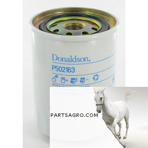 Filtr paliwa Donaldson Kubota P502163